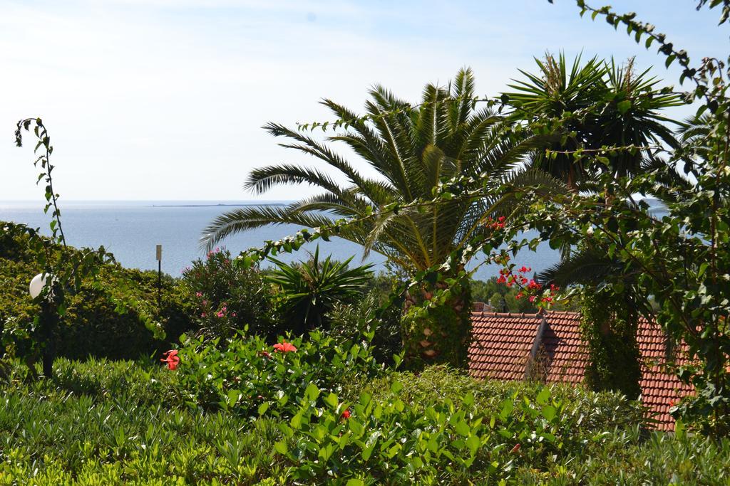 Irilena Studios And Apartments Lassi  Quarto foto